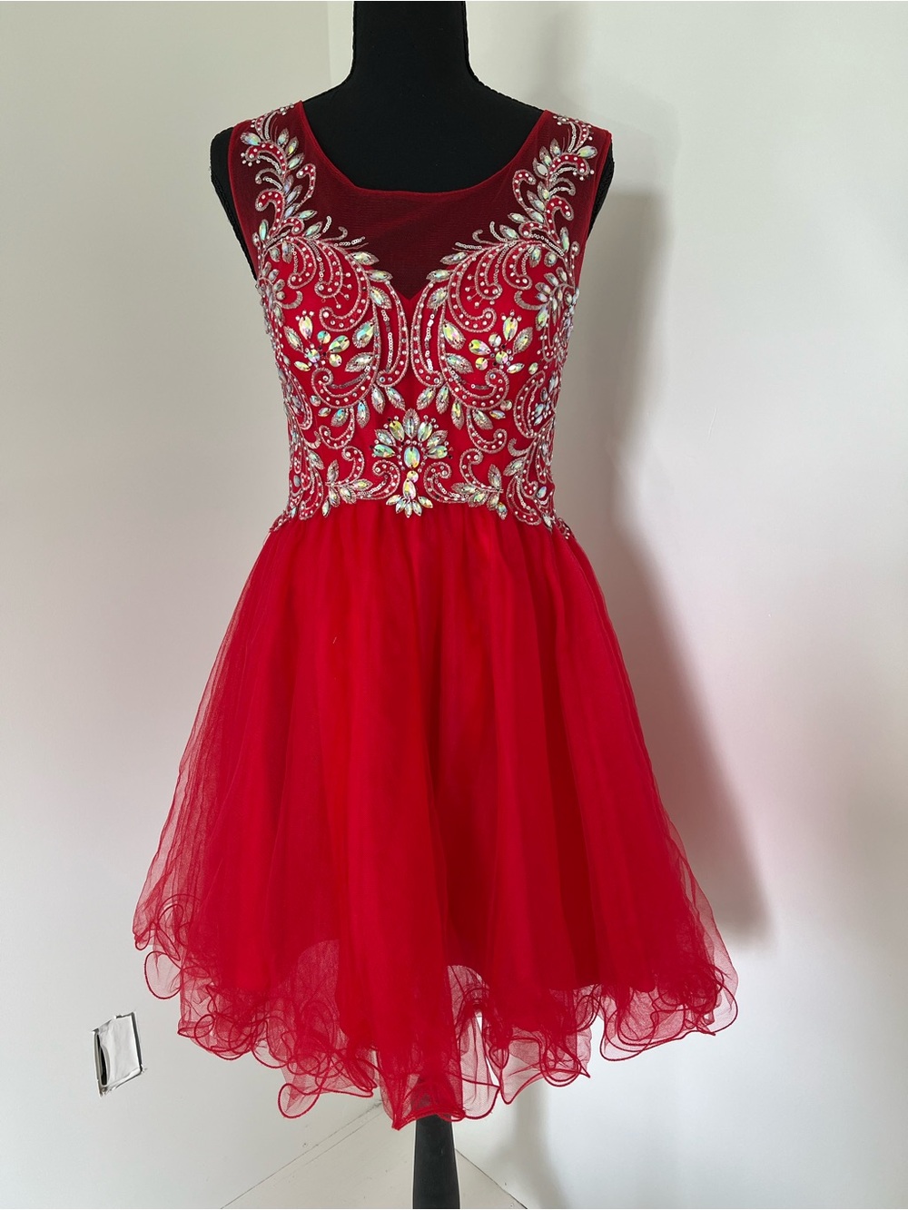 Hannah S Red Dress Rhinestone-adorned bodice with an illusion scoop and sweethe